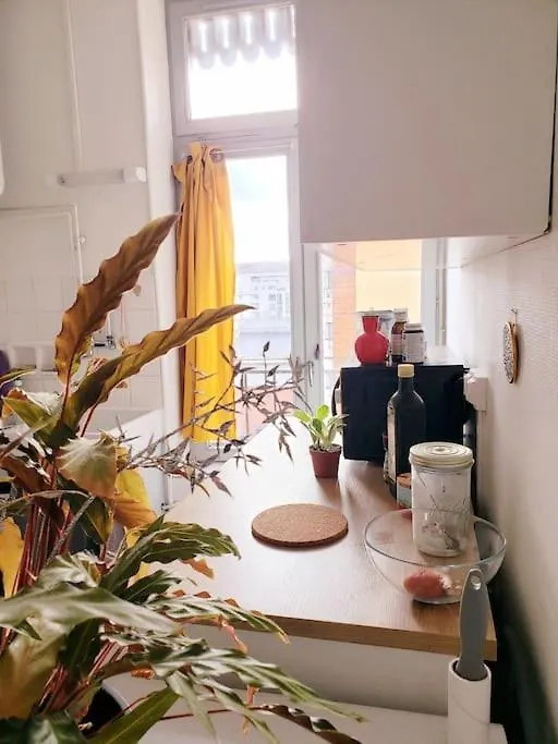 Logement Chaleureux - Metro Flachet Villeurbanne Apartment